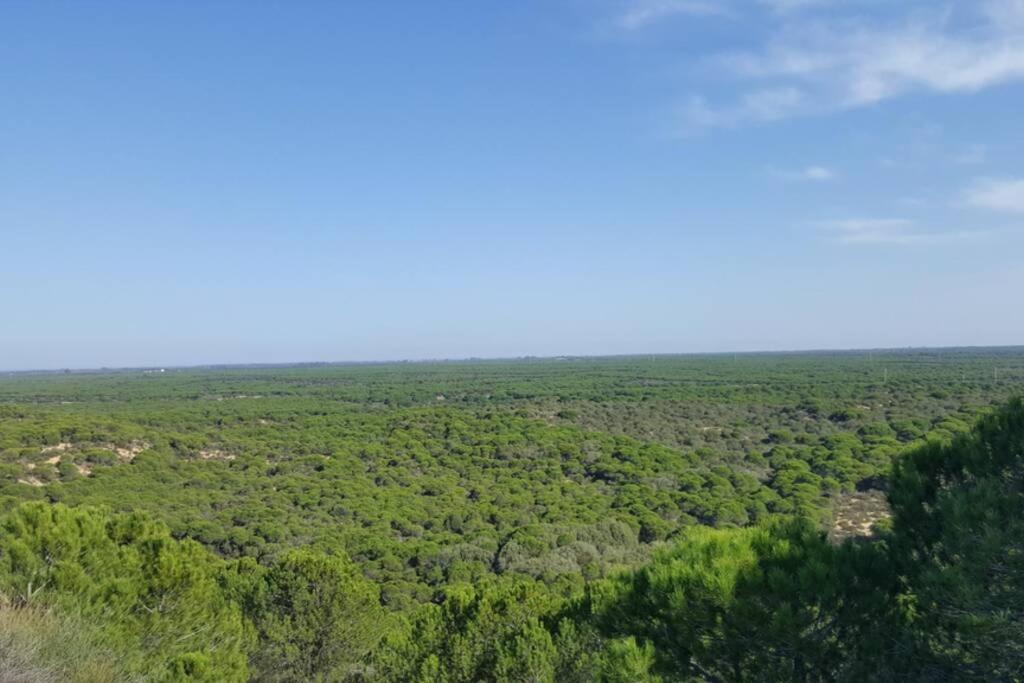 Playa Y Naturaleza Matalascañas Kültér fotó