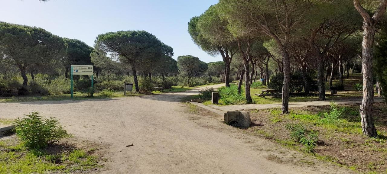 Playa Y Naturaleza Matalascañas Kültér fotó